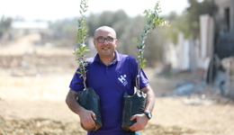Plant a blessed tree in Palestine