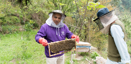 Honey Bee Farm