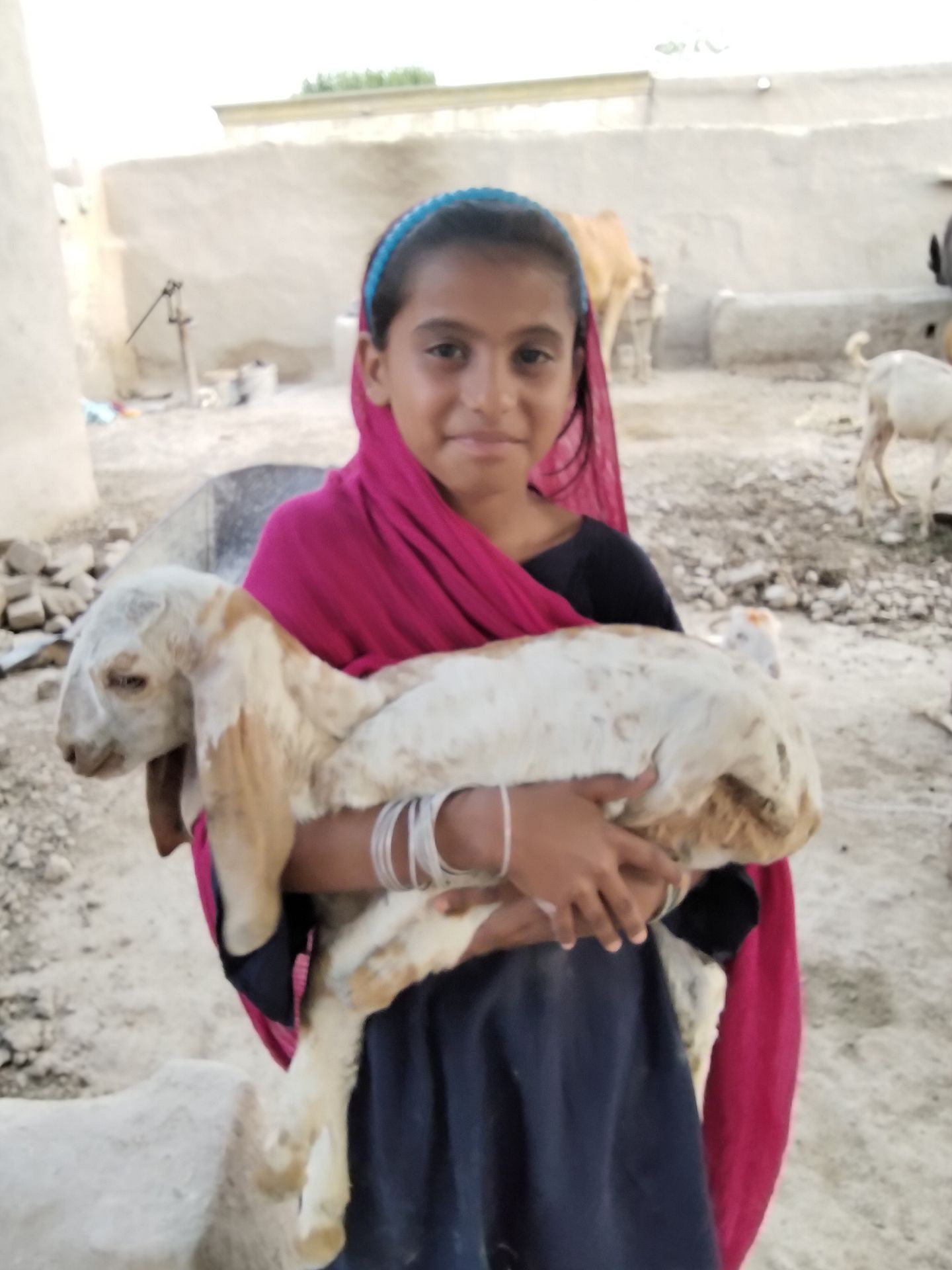 Human Appeal Orphan - Tanzeela