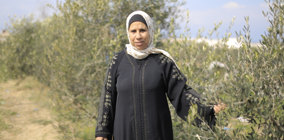 Salwa, a farmer in Palestine